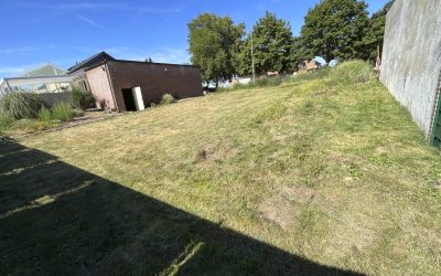 16.07.2022 – Ein Tag im Grünen: Unser Hausbau und die Kraft der Gemeinschaft