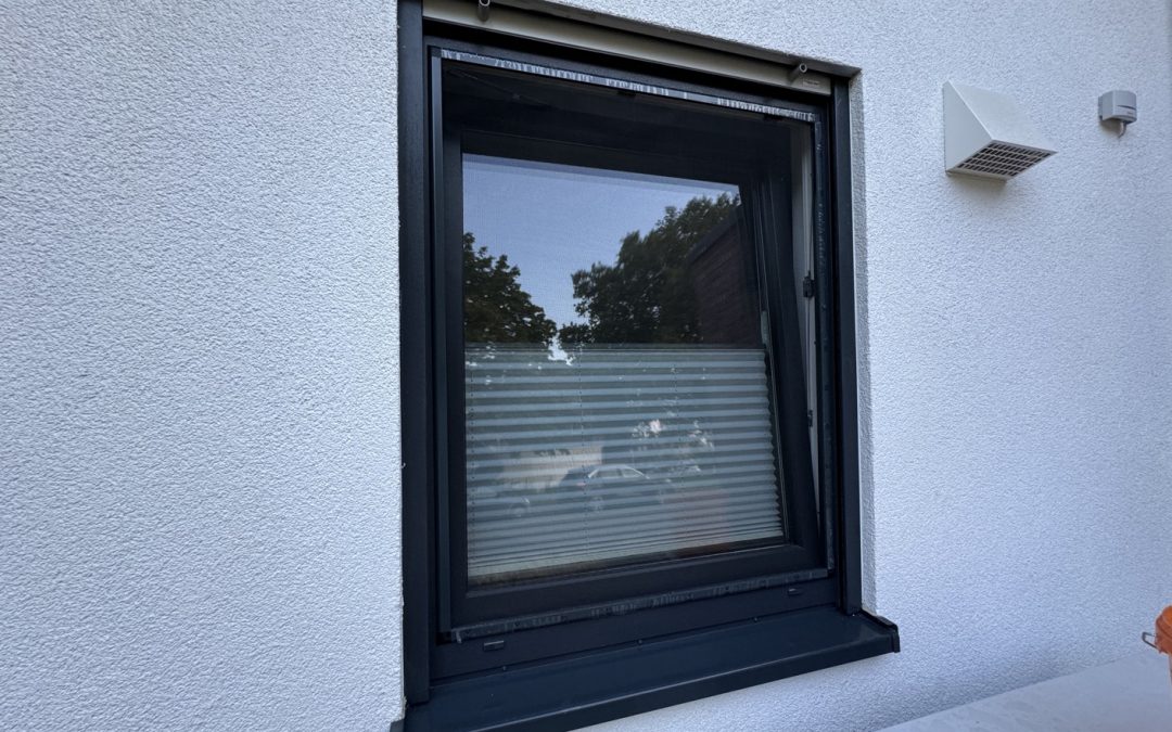 Die große Insektenschutz-Mission – Die Herausforderung der 15mm!