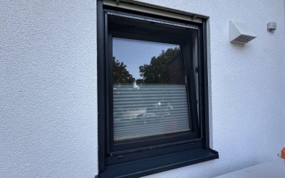 Die große Insektenschutz-Mission – Die Herausforderung der 15mm!