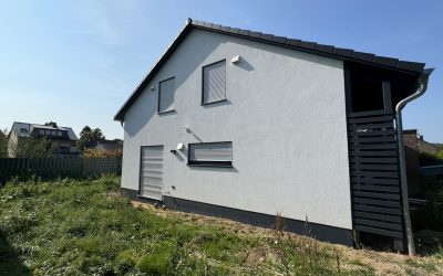 Mission Urwaldbeseitigung und Sockel streichen bei 60 Grad: